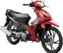SHOGUN AXELO R
