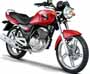 THUNDER 125