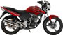TIGER SINGLE HEADLIGHT